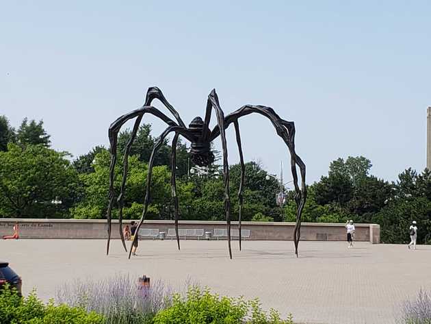 Spider statue