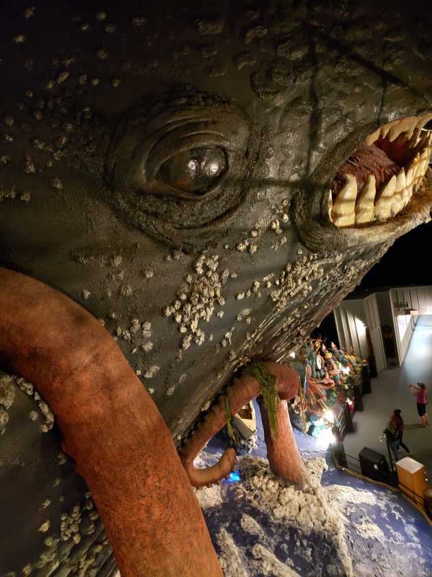 Epic battle in the high seas