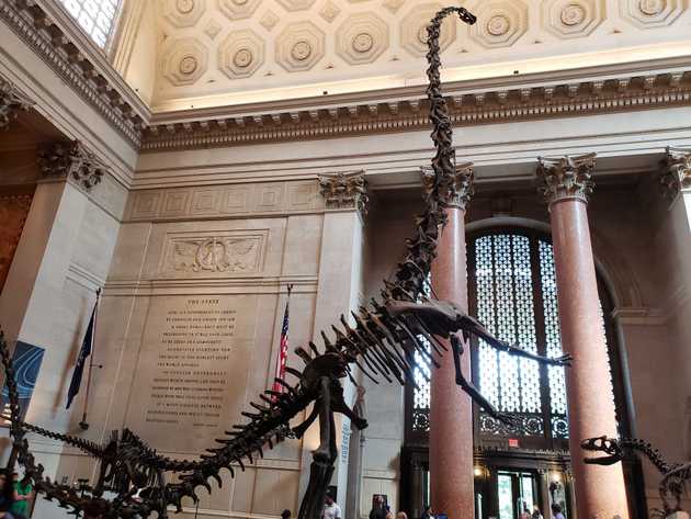 Dinosaurs in the Museum of Natural history entrance